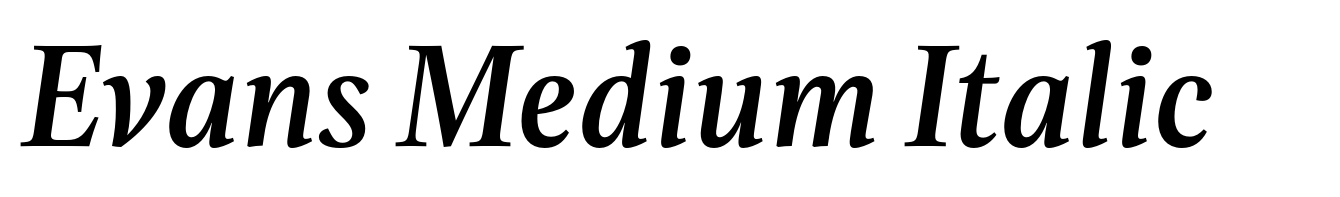 Evans Medium Italic